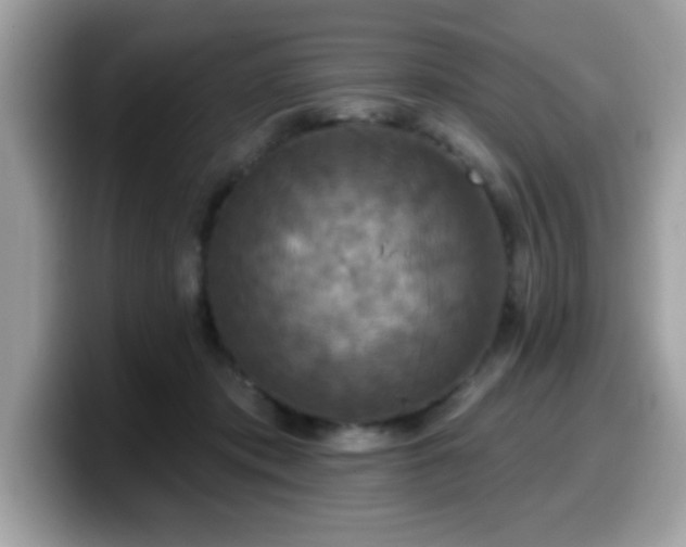 X0000099950413200805301240