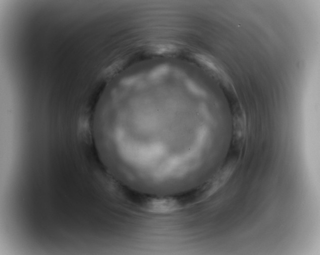 X0000099950415200805301240
