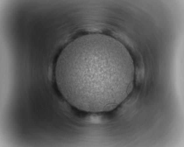 X0000099950416200805301240