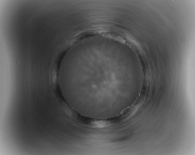 X0000099950417200805301240