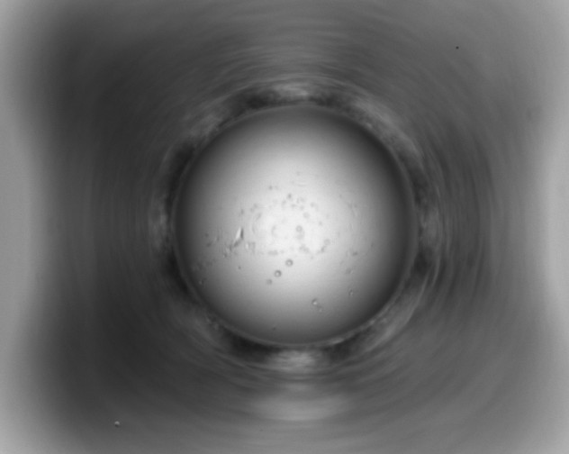 X0000099950418200805301240