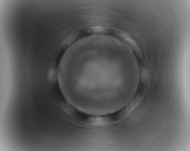 X0000099950419200805301240