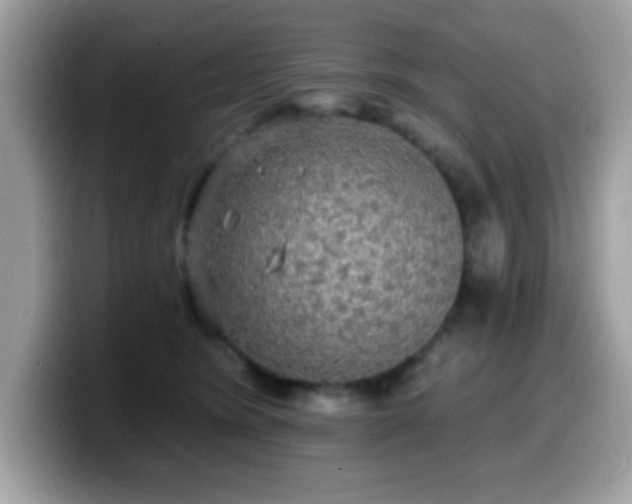 X0000099950420200805301240
