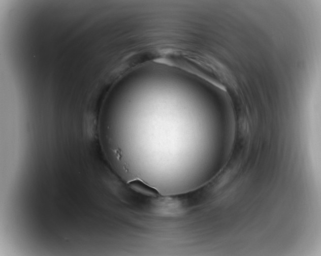 X0000099950421200805301240