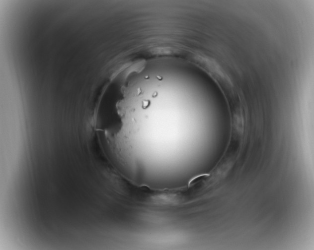 X0000099950422200805301240