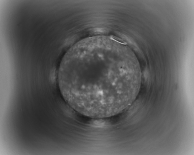 X0000099950423200805301240