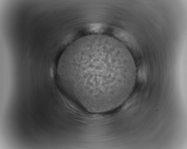 X0000099950424200805301240