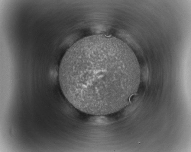 X0000099950427200805301240