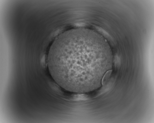 X0000099950428200805301240