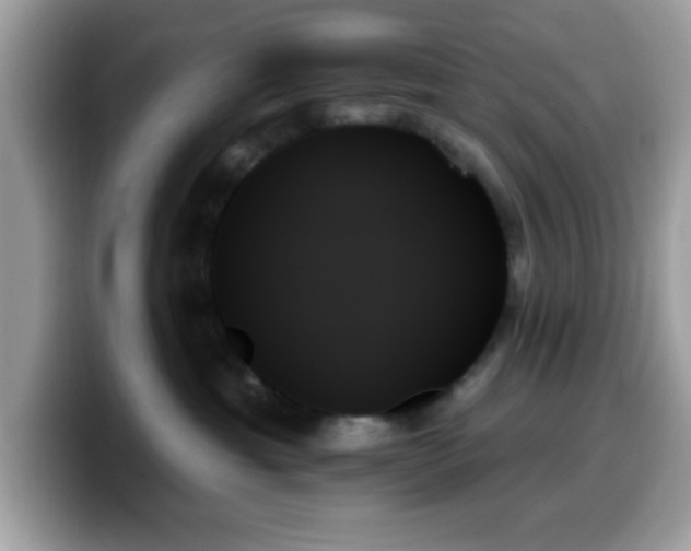 X0000099950429200805301240