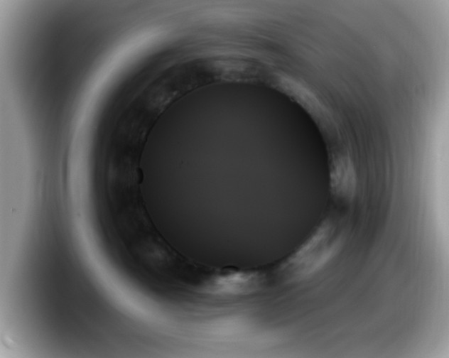 X0000099950430200805301240