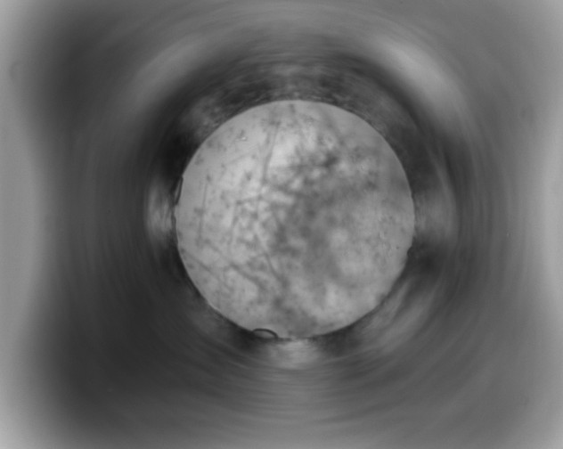 X0000099950431200805301240