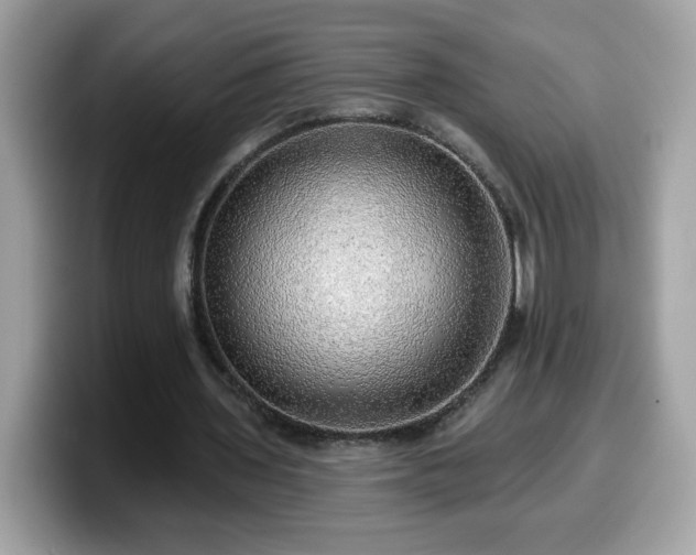 X0000099950435200805301239