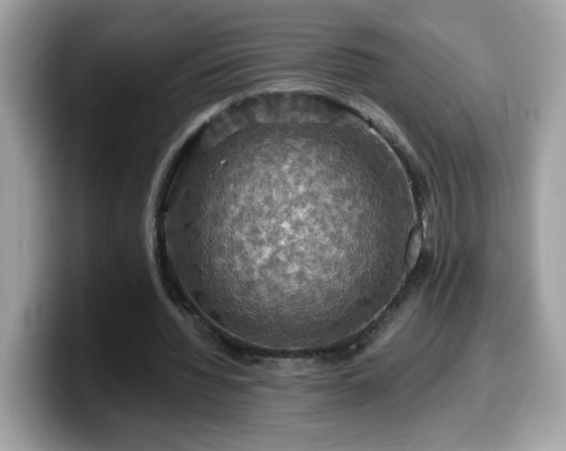 X0000099950436200805301239