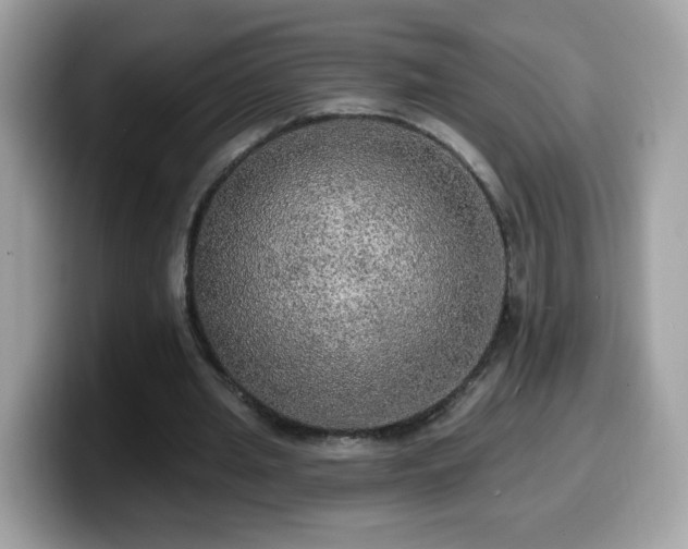 X0000099950437200805301239