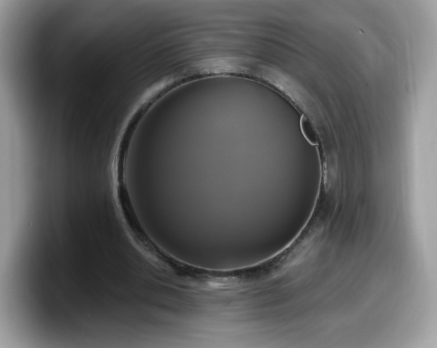 X0000099950438200805301239