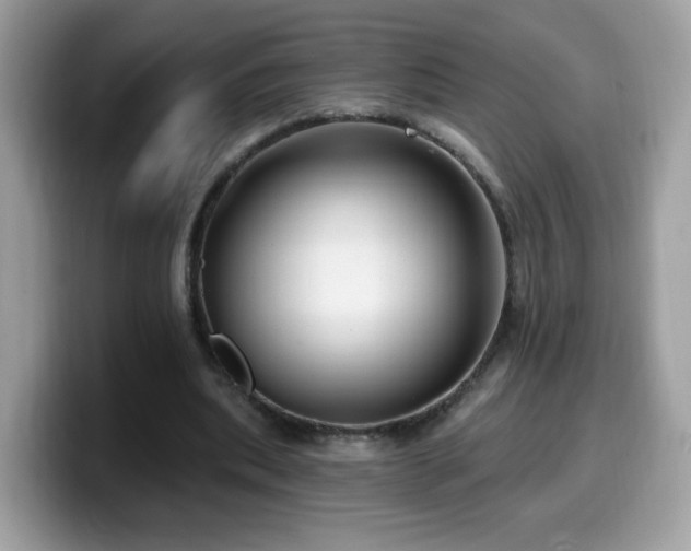 X0000099950439200805301239