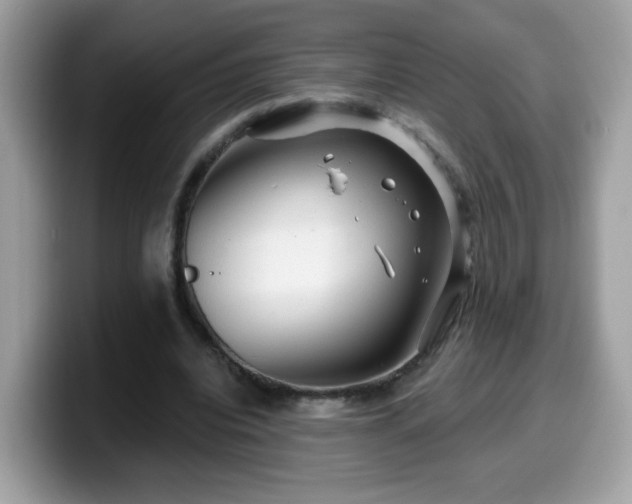 X0000099950440200805301239