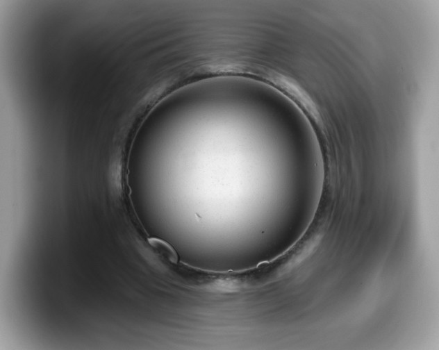 X0000099950441200805301239