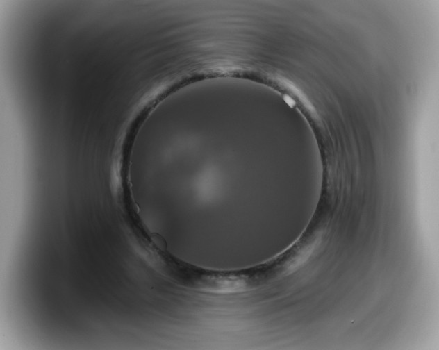 X0000099950443200805301239