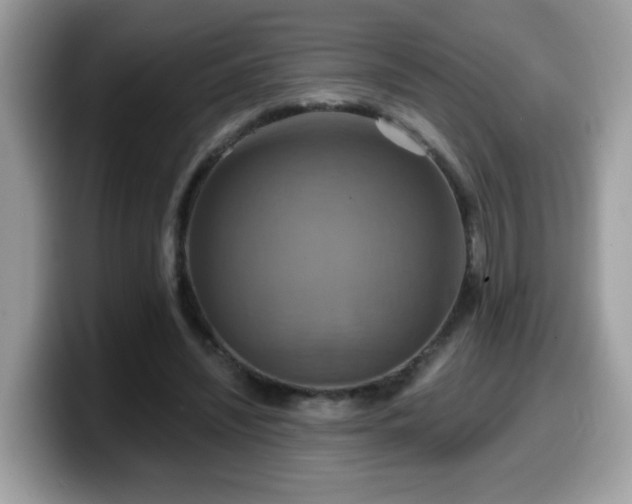 X0000099950444200805301239