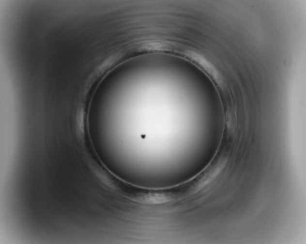 X0000099950445200805301239