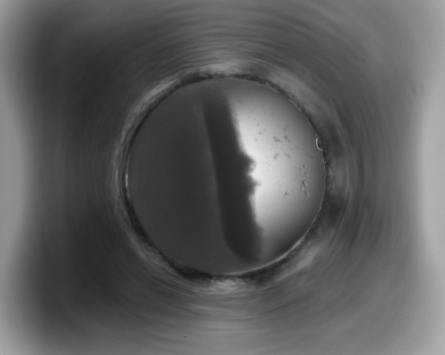X0000099950446200805301239