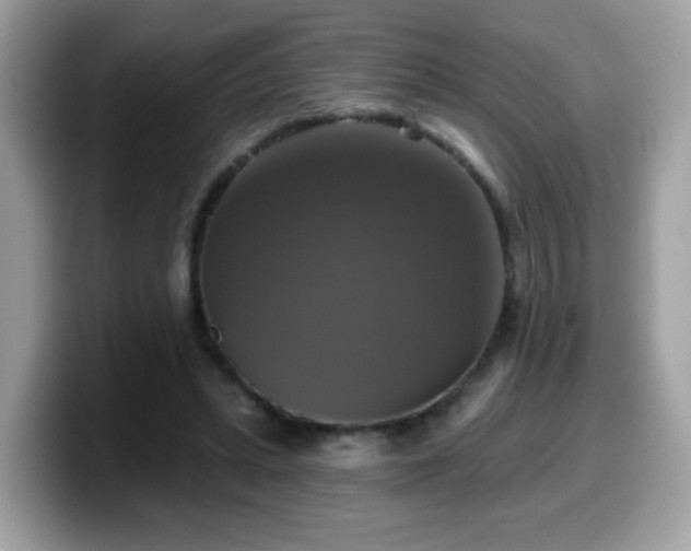 X0000099950447200805301239