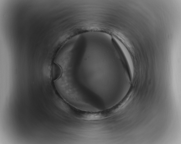 X0000099950449200805301239