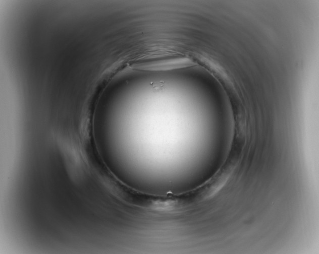 X0000099950450200805301239