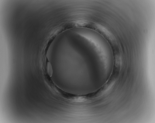 X0000099950451200805301239