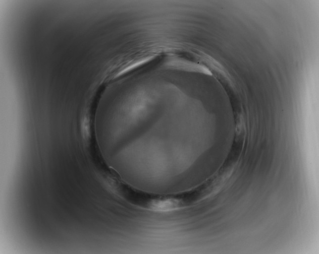 X0000099950452200805301239