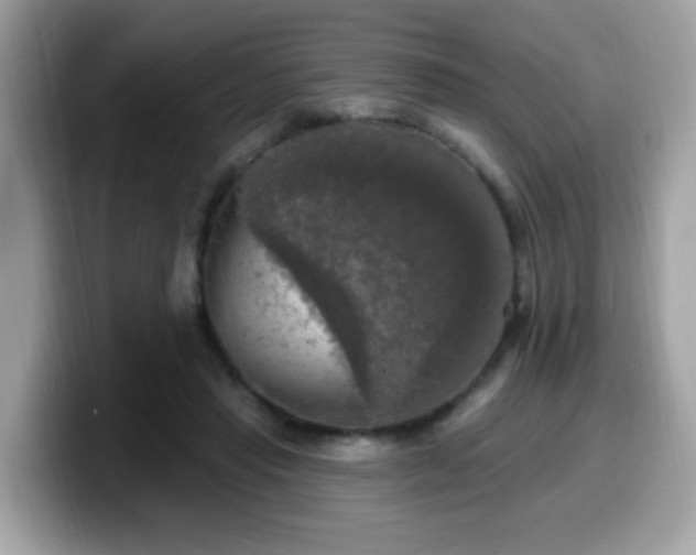 X0000099950453200805301239