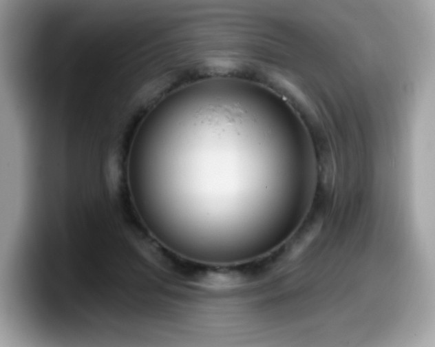 X0000099950455200805301239