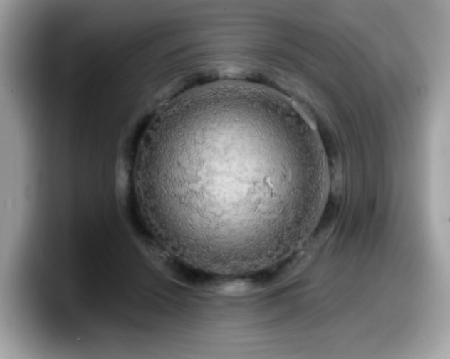 X0000099950456200805301239