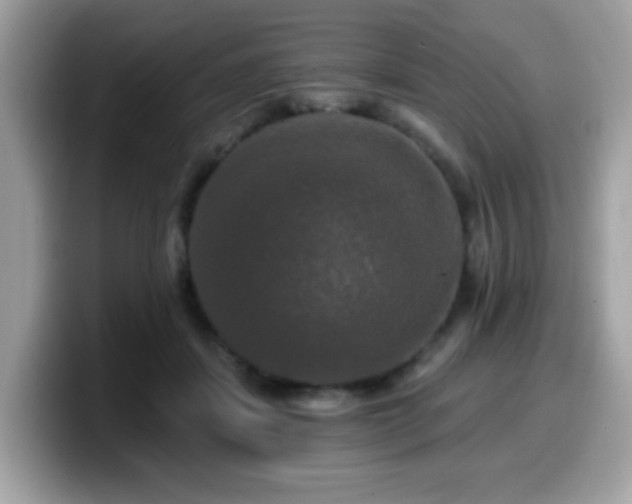 X0000099950459200805301239