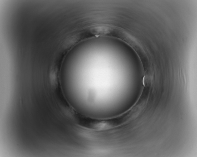 X0000099950460200805301239