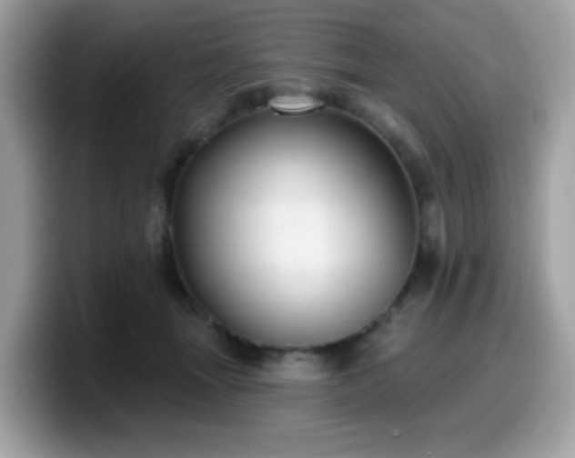 X0000099950463200805301239