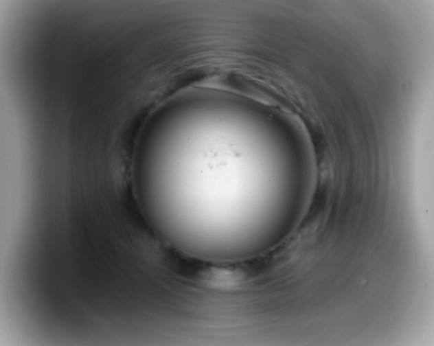 X0000099950464200805301239