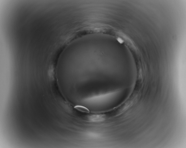 X0000099950465200805301239