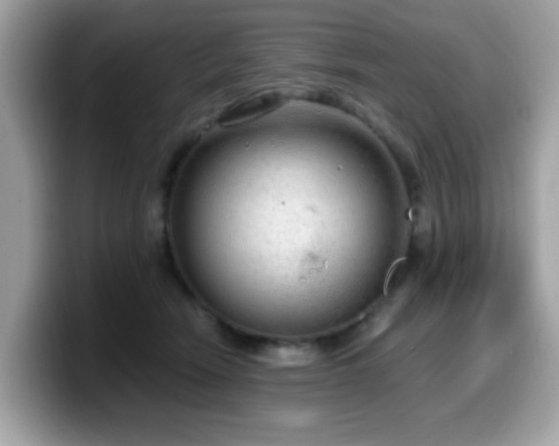 X0000099950466200805301239