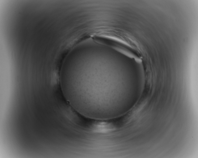 X0000099950467200805301239