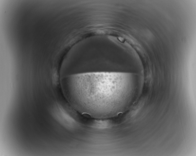 X0000099950469200805301239