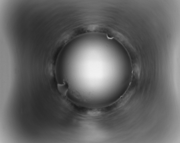 X0000099950470200805301239