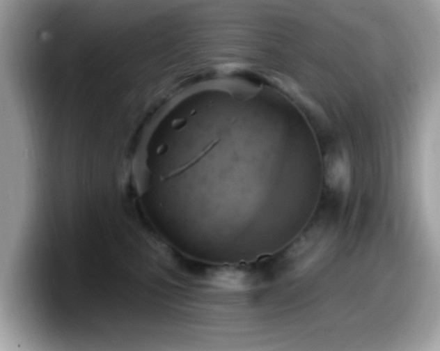 X0000099950471200805301239
