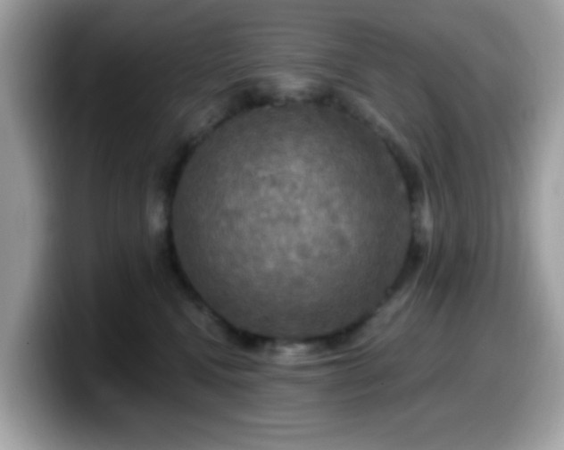 X0000099950472200805301239