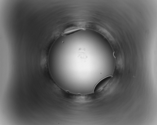 X0000099950473200805301239