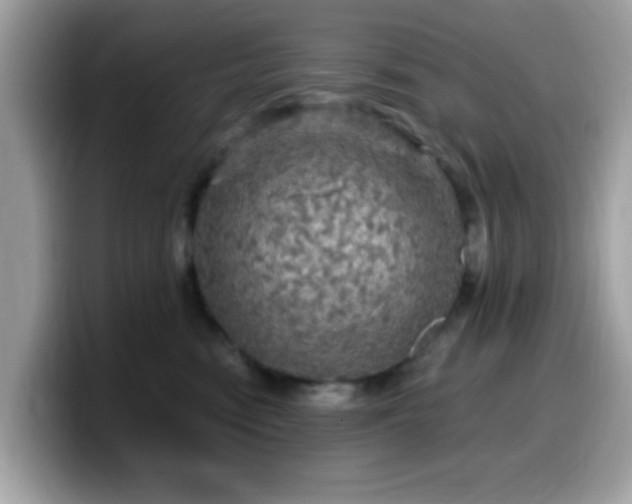X0000099950474200805301239