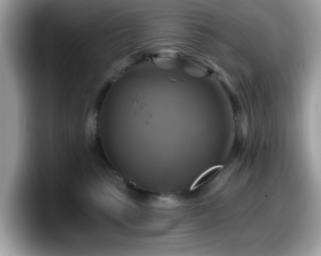 X0000099950475200805301239
