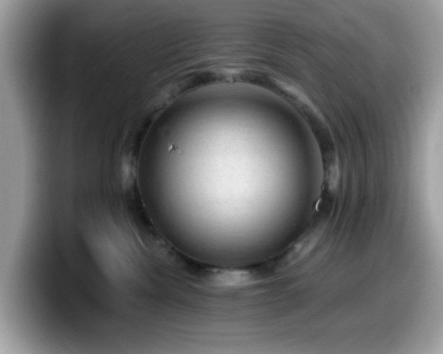X0000099950476200805301239